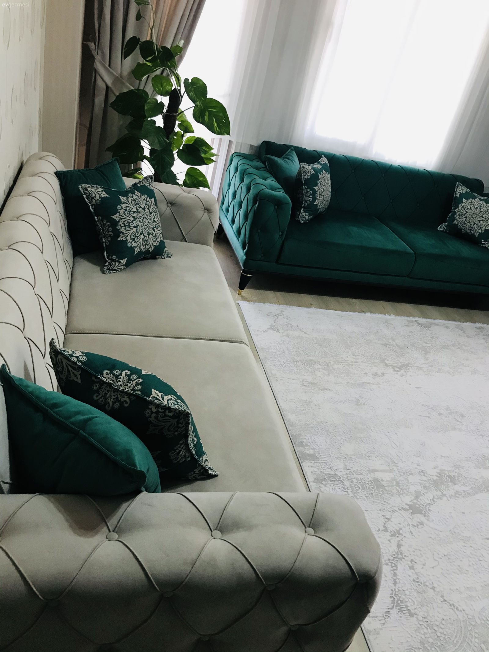 Fikir olsun size de!