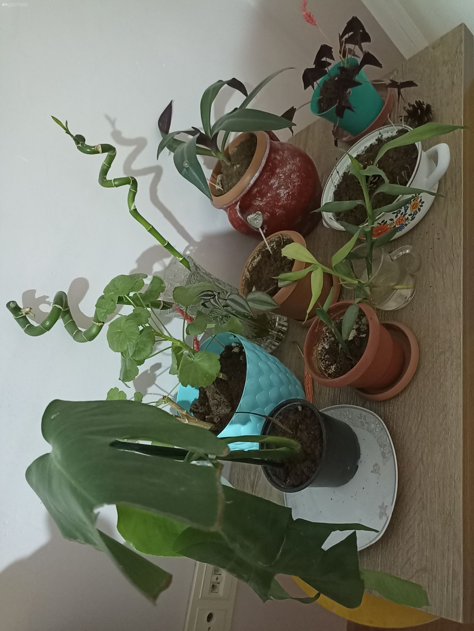 Oturma odam ve mutfağım....