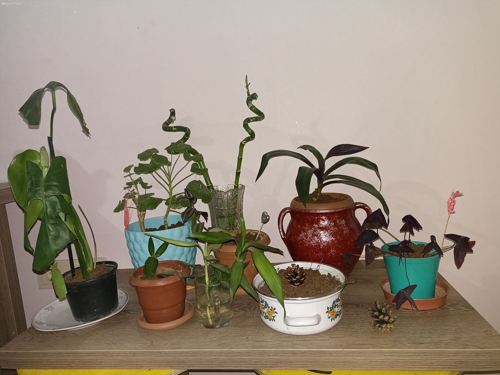 Oturma odam ve mutfağım....