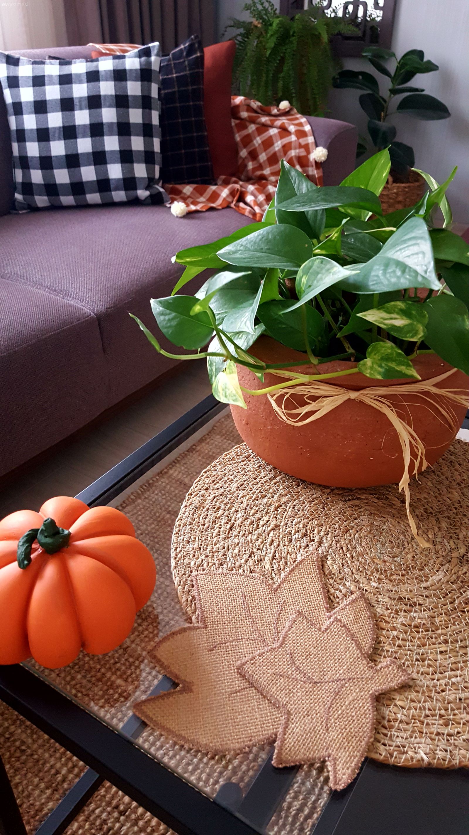 Sonbahara Uygun Oturma Odası ve Balkonum