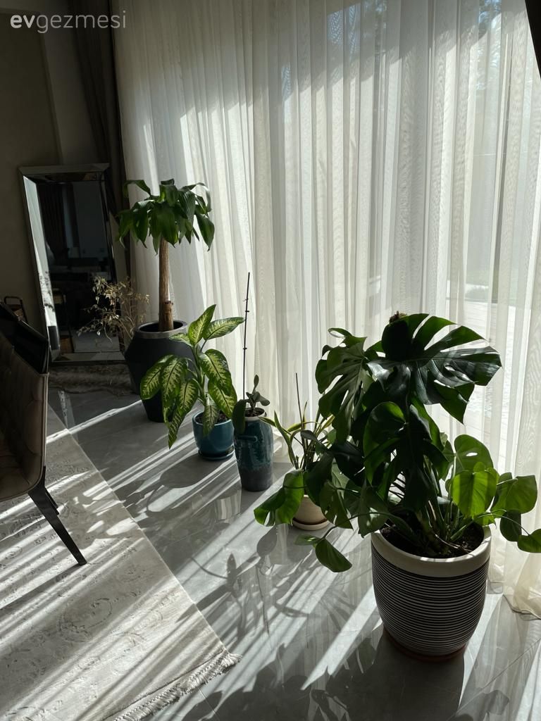 Muğla'dan Müstakil Bir Villa: Salon, Mutfak ve Çocuk Odası