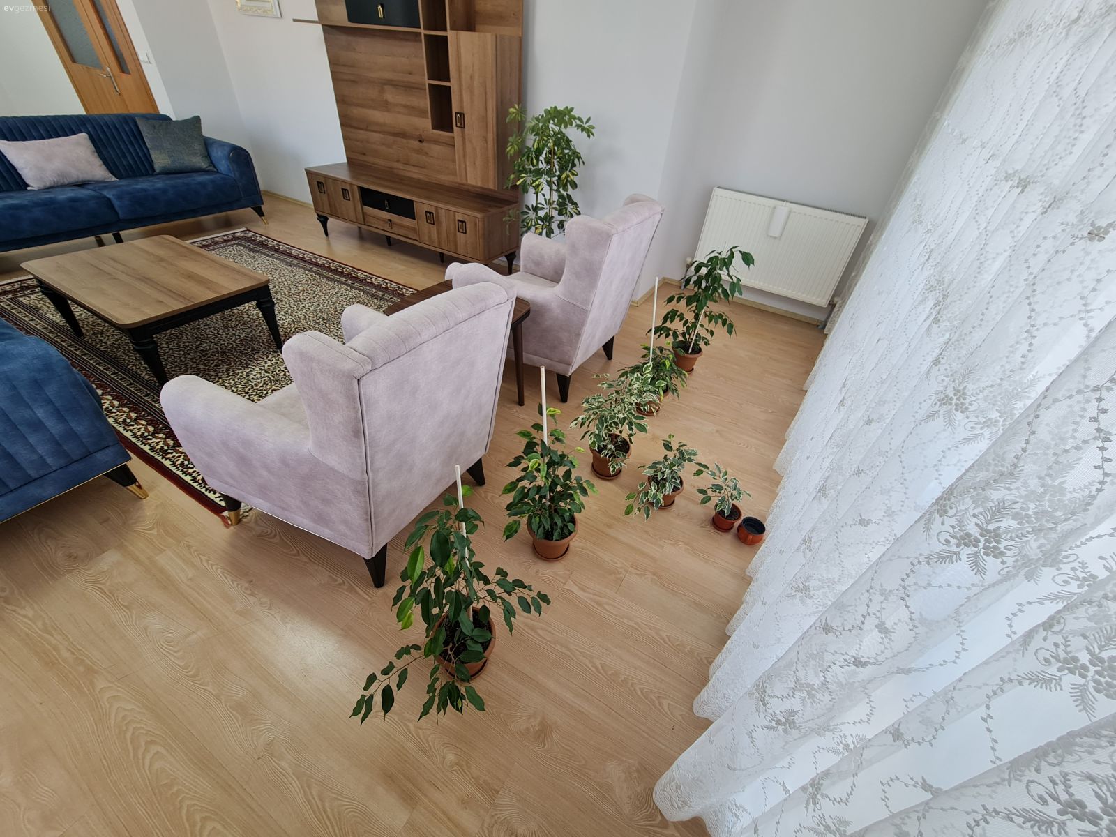 Salonuma fikir verir misiniz ?