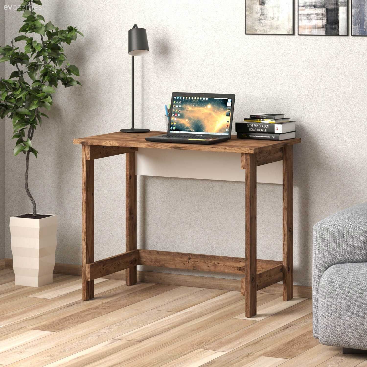 Sağlıklı Bir Çalışma Odası Dekorasyonu Nasıl Olmalı?