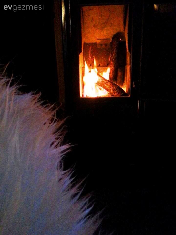 Benim Küçük Kulübem